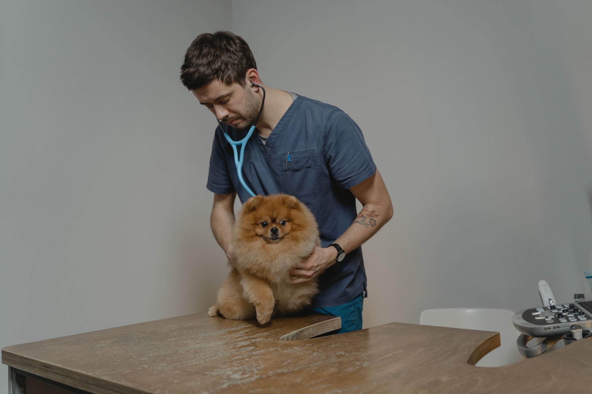 Before You Adopt